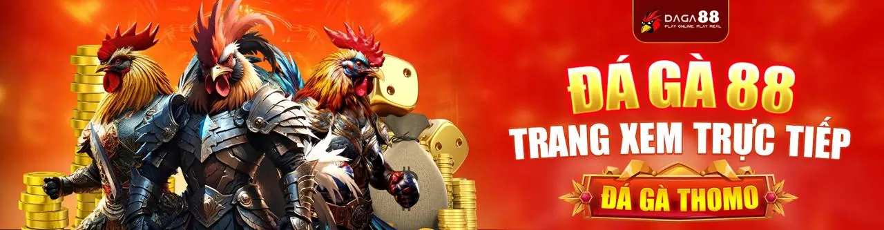 Sàn đấu gà bet169 sôi động với khán giả cổ vũ cuồng nhiệt